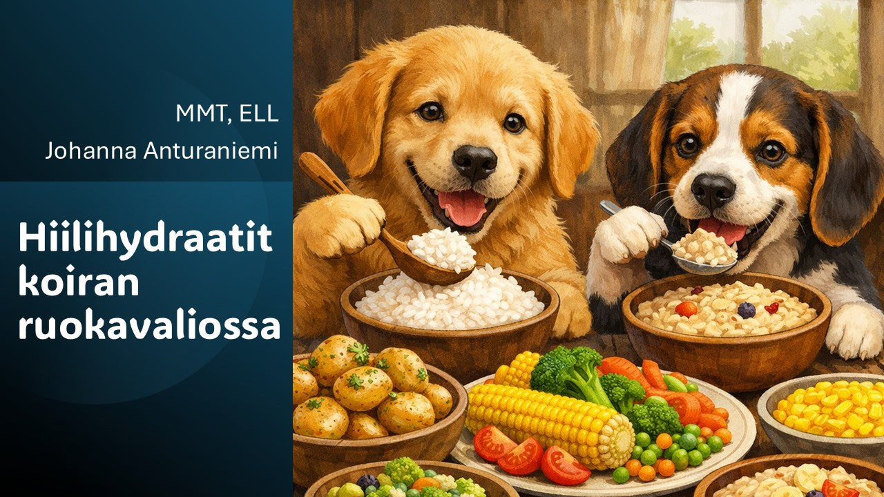LUENTO - Hiilihydraatit koiran ruokavaliossa