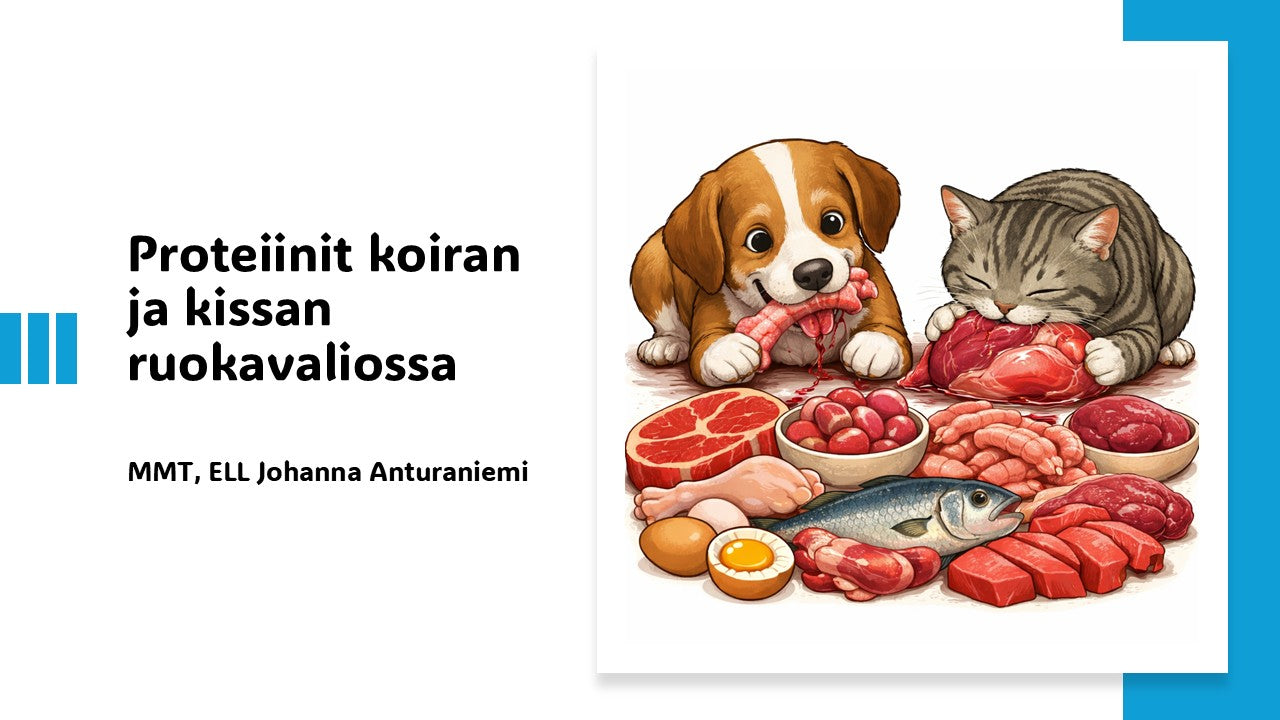 LUENTO - Proteiinit koiran ja kissan ruokavaliossa