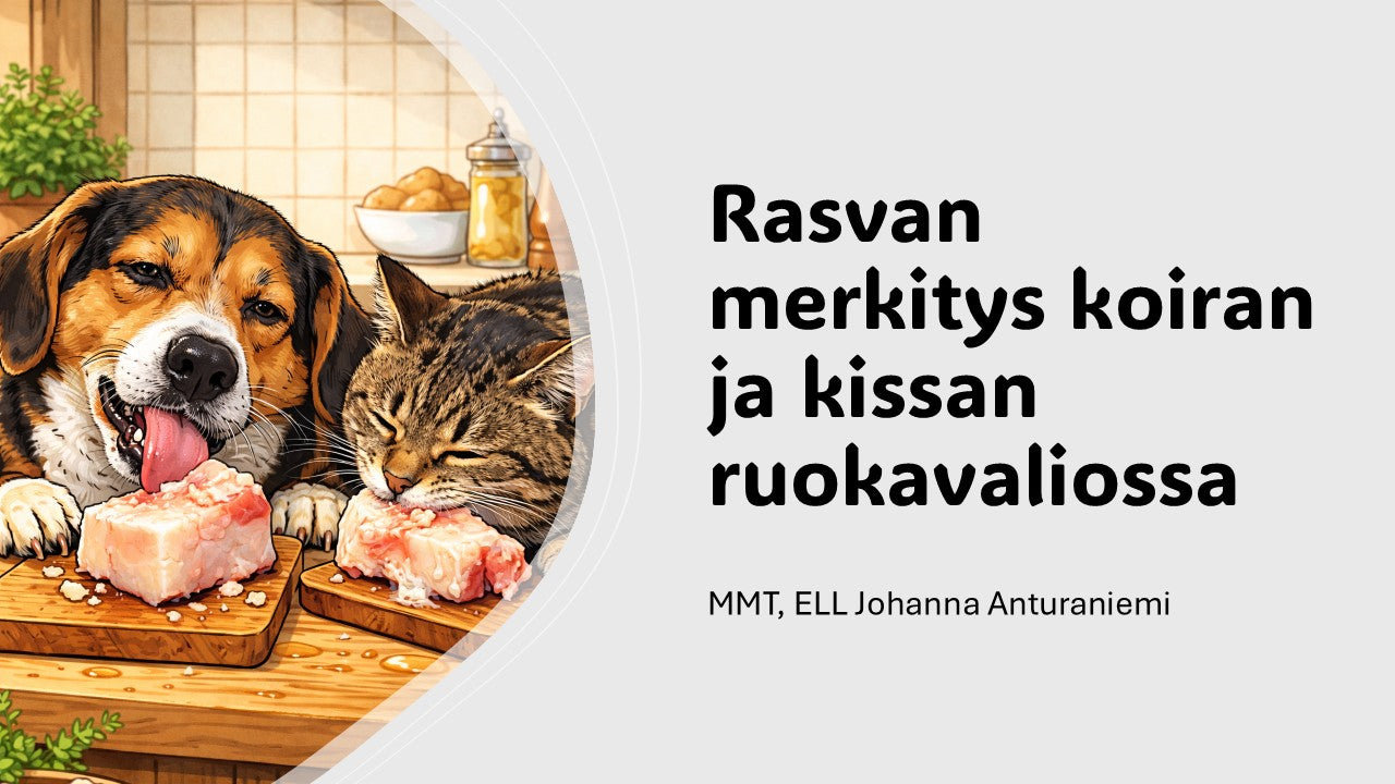 LUENTO - Rasvan merkitys koiran ja kissan ruokavaliossa