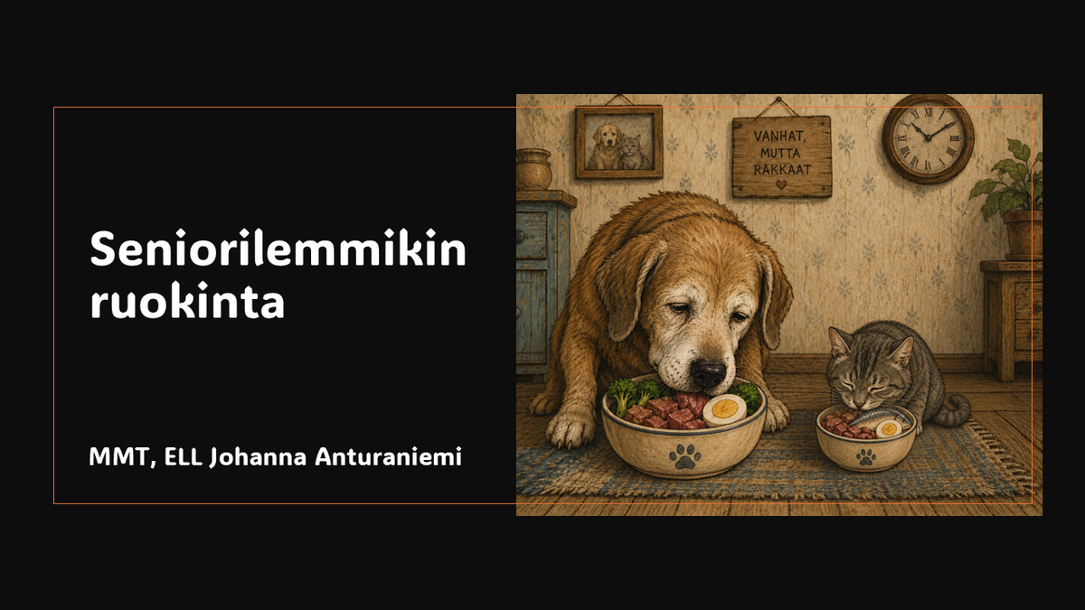 LUENTO - Seniorilemmikin ruokinta
